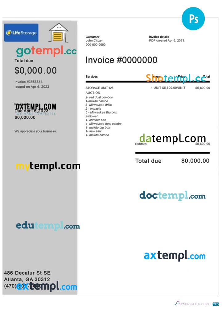 Download Life Storage invoice Photoshop template